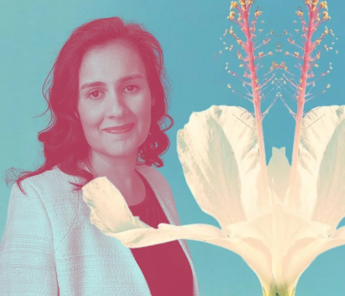 On 25 years of Salt and Saffron