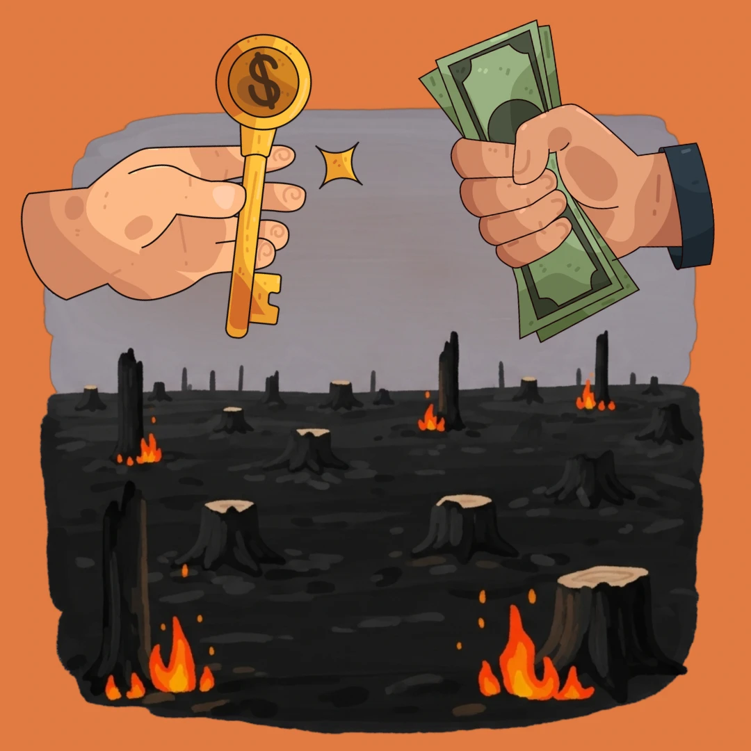 Missing the Forest for the FDI