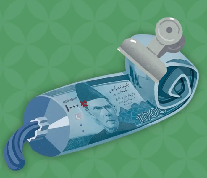 The Year Ahead: Budget 101