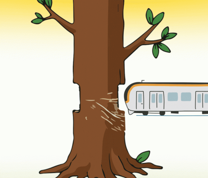 Code Yellow: Lahore’s Metro Problem