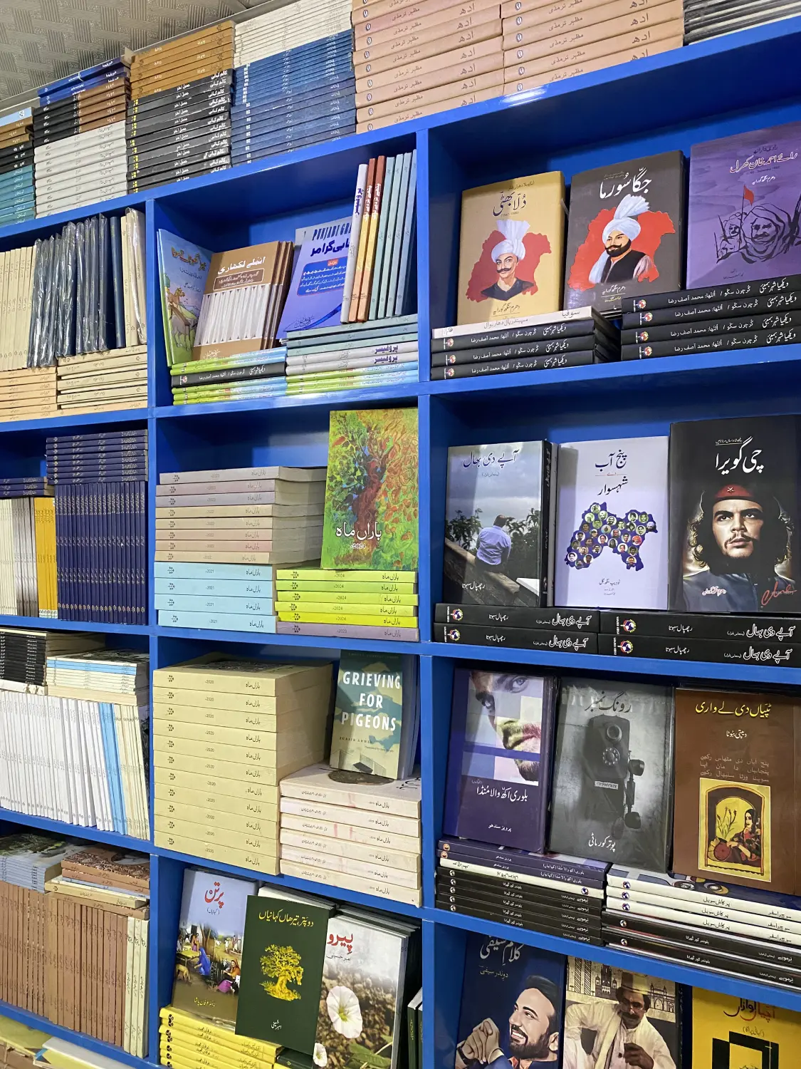 Books in Punjabi