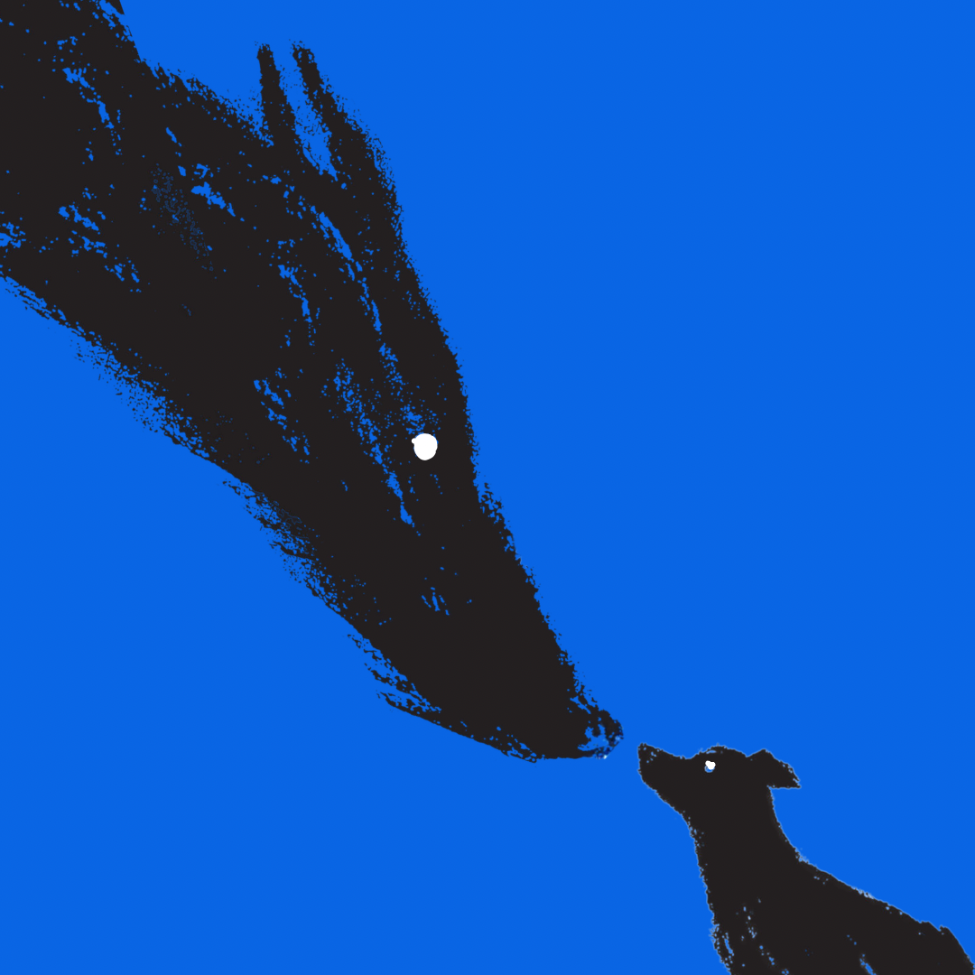 A Head on the Arm, A Shadow in the Room: On Coco, Toxic Love and My Cats