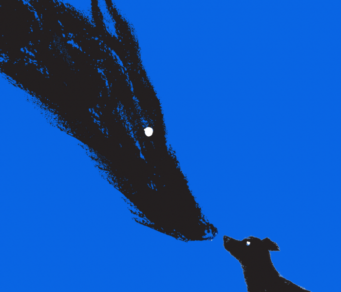 A Head on the Arm, A Shadow in the Room: On Coco, Toxic Love and My Cats