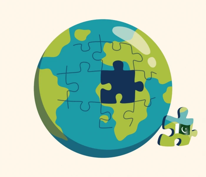 Global Openings, Domestic Constraints